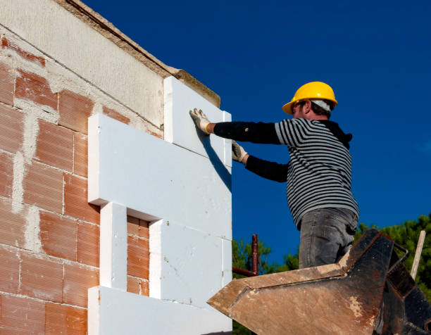 Best Insulation Contractors for Homes  in Grant, NE