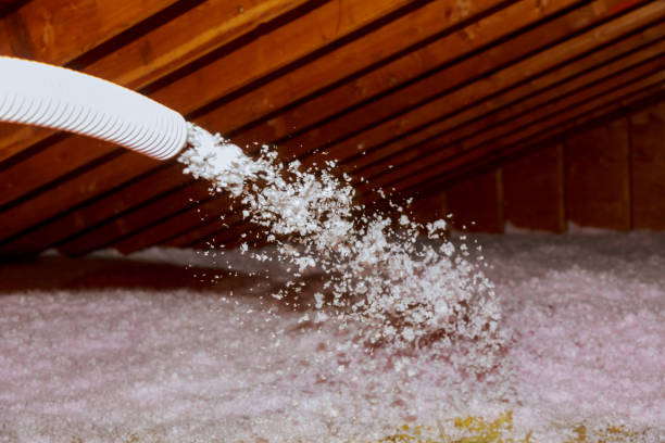 Best Garage Insulation Installation  in Grant, NE