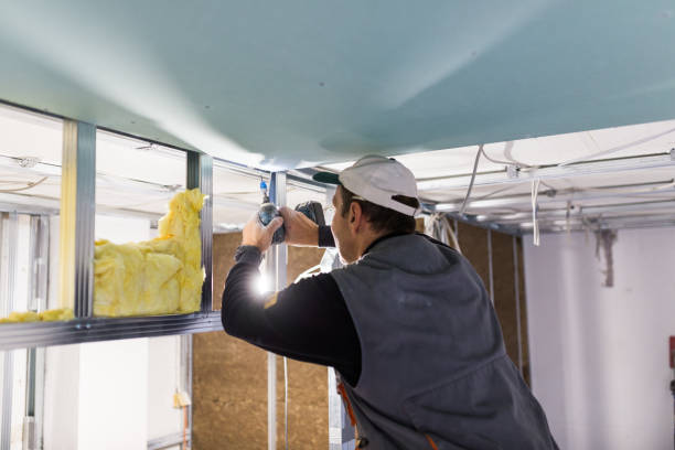 Best Insulation Inspection Services  in Grant, NE