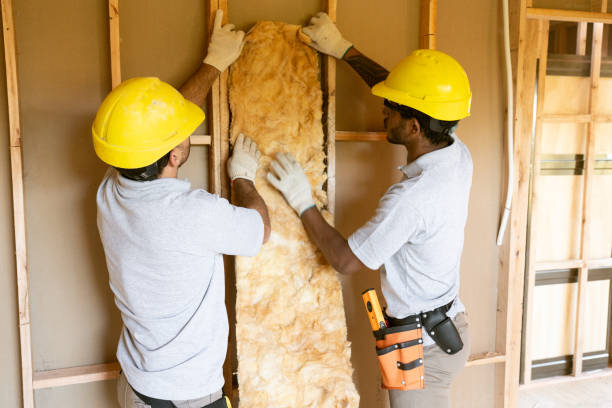 Best Wall Insulation Contractor  in Grant, NE