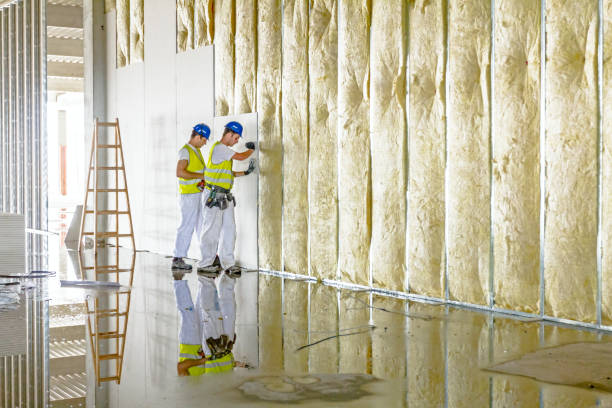 Best Professional Insulation Contractor  in Grant, NE